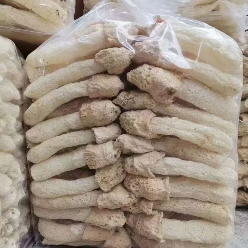 竹荪包邮竹荪长裙竹荪蛋全国发货包邮支持一件
