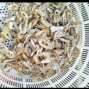 【实力供货】毛笋干笋干品质保证果芝然商贸欢迎如您共赢