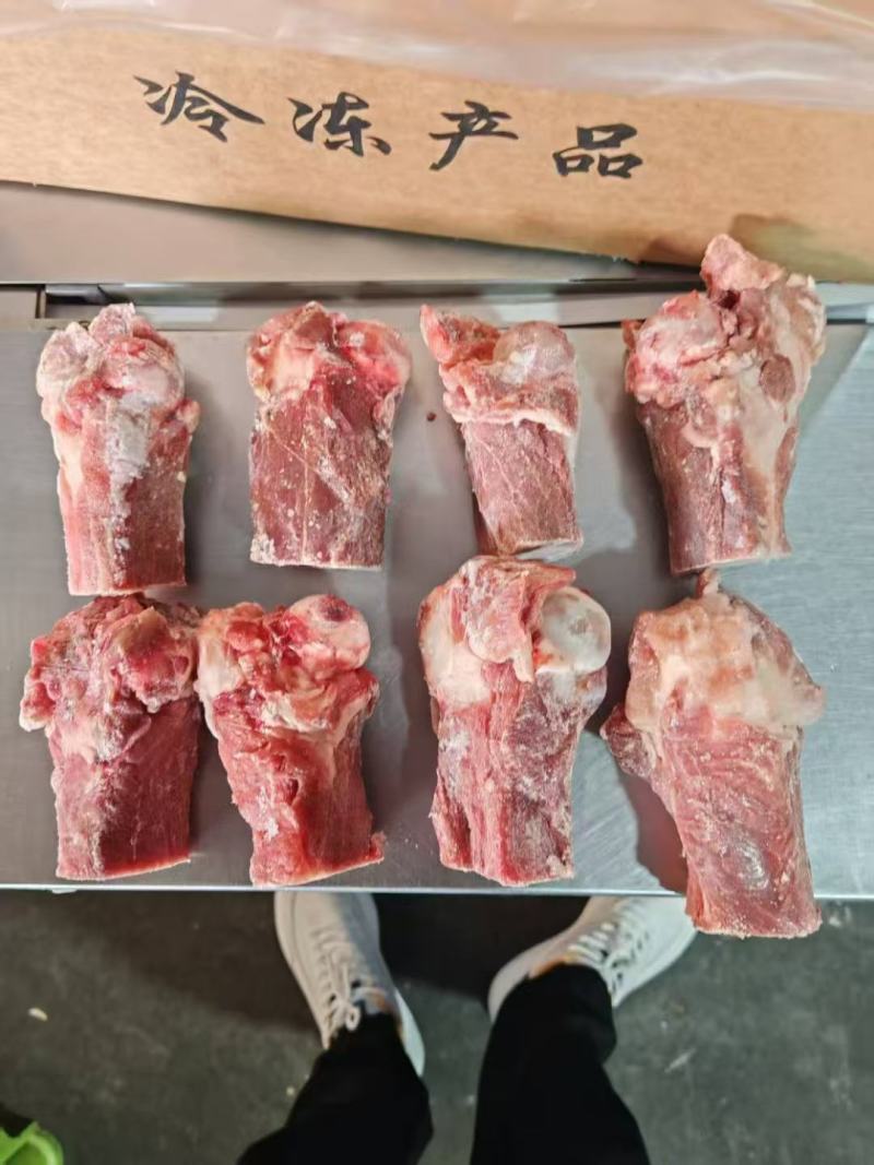 标准后筒骨