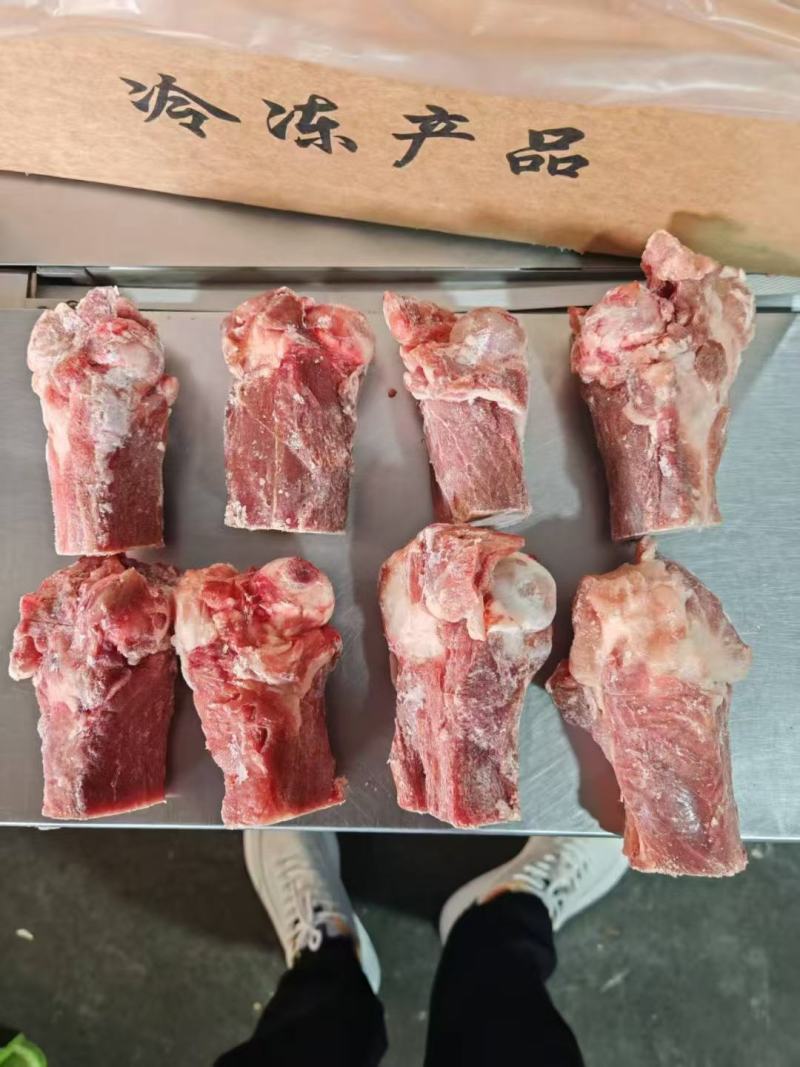 标准后筒骨