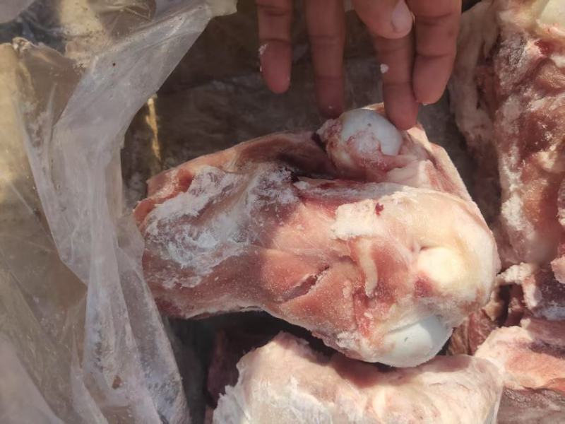 满肉棒骨