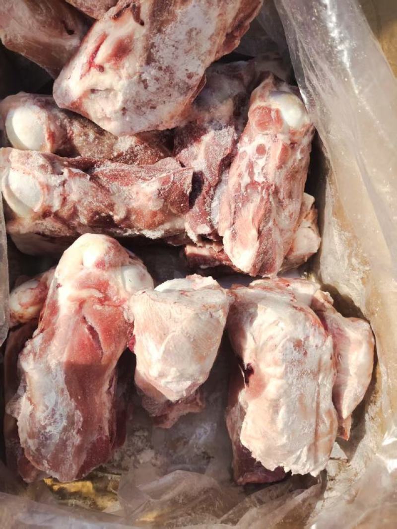 满肉棒骨
