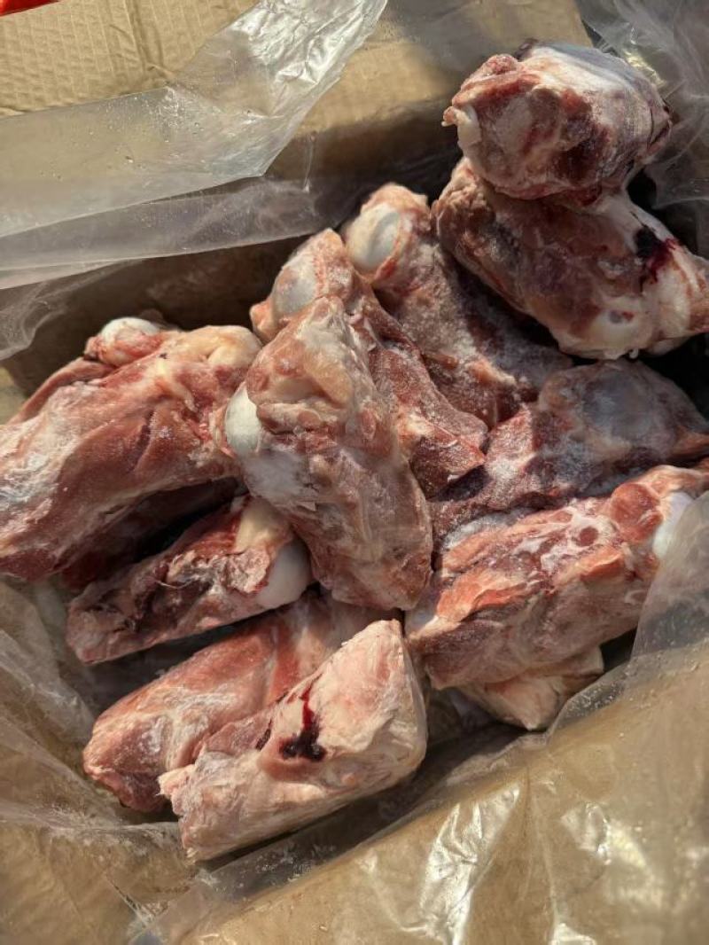 满肉棒骨