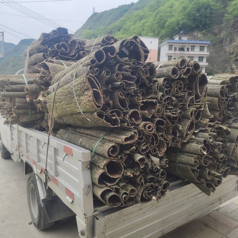 耐寒耐贫杜仲树皮现货秒发全国供应