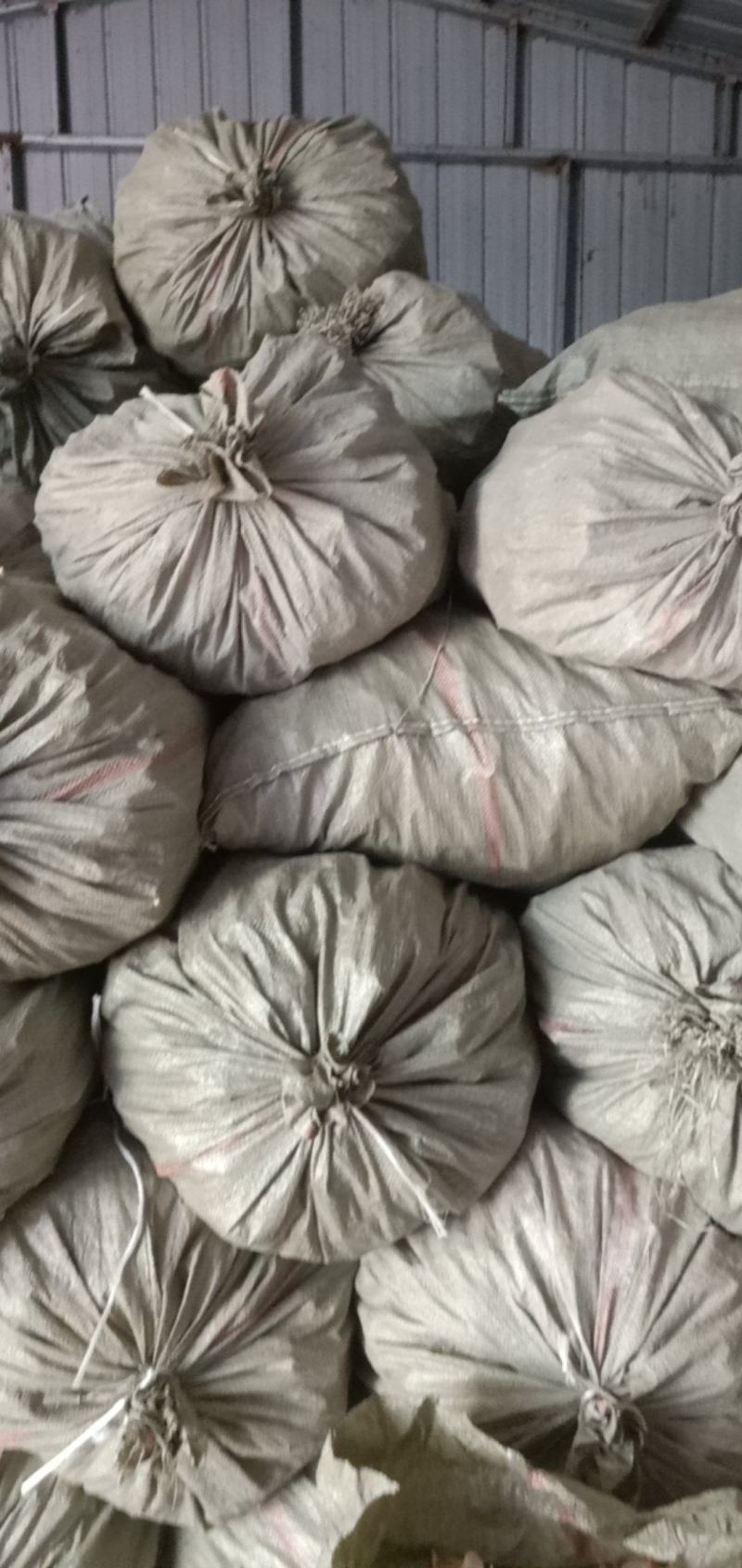 竹耳白木耳产地直销一手货源自产自销