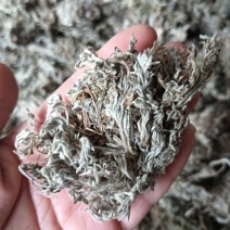 茵陈茵陈个子整棵茵陈实物实拍批发各种中药材