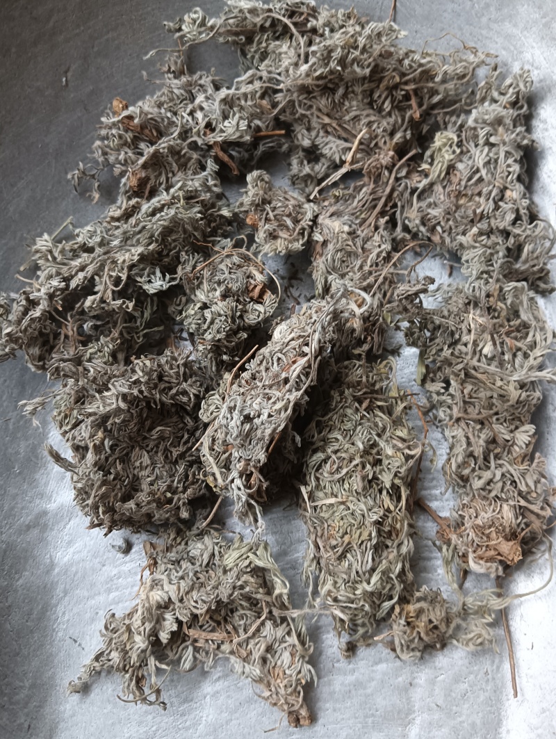 茵陈茵陈个子整棵茵陈实物实拍批发各种中药材