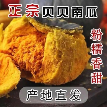 贝贝南瓜安徽正宗贝贝南瓜软糯香甜承接商超电商供货