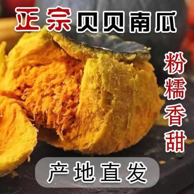 贝贝南瓜安徽正宗贝贝南瓜软糯香甜承接商超电商供货