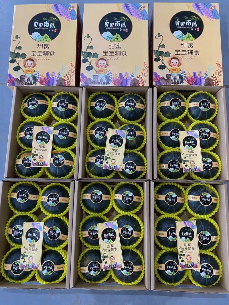 贝贝南瓜安徽正宗贝贝南瓜软糯香甜承接商超电商供货