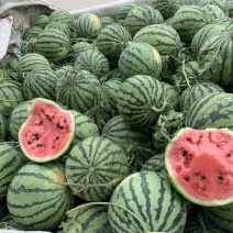 精品美都西瓜货源充足一手货源自家种植质量保证欢迎咨询