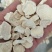 山药铁棍山药水洗片山药实物实拍批发各种中药材