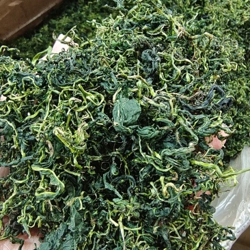 蒲公英叶干货散装泡水喝量大从优