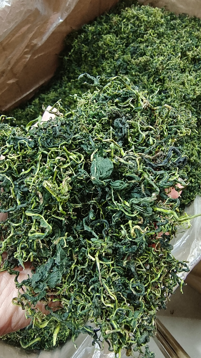 蒲公英叶干货散装泡水喝量大从优