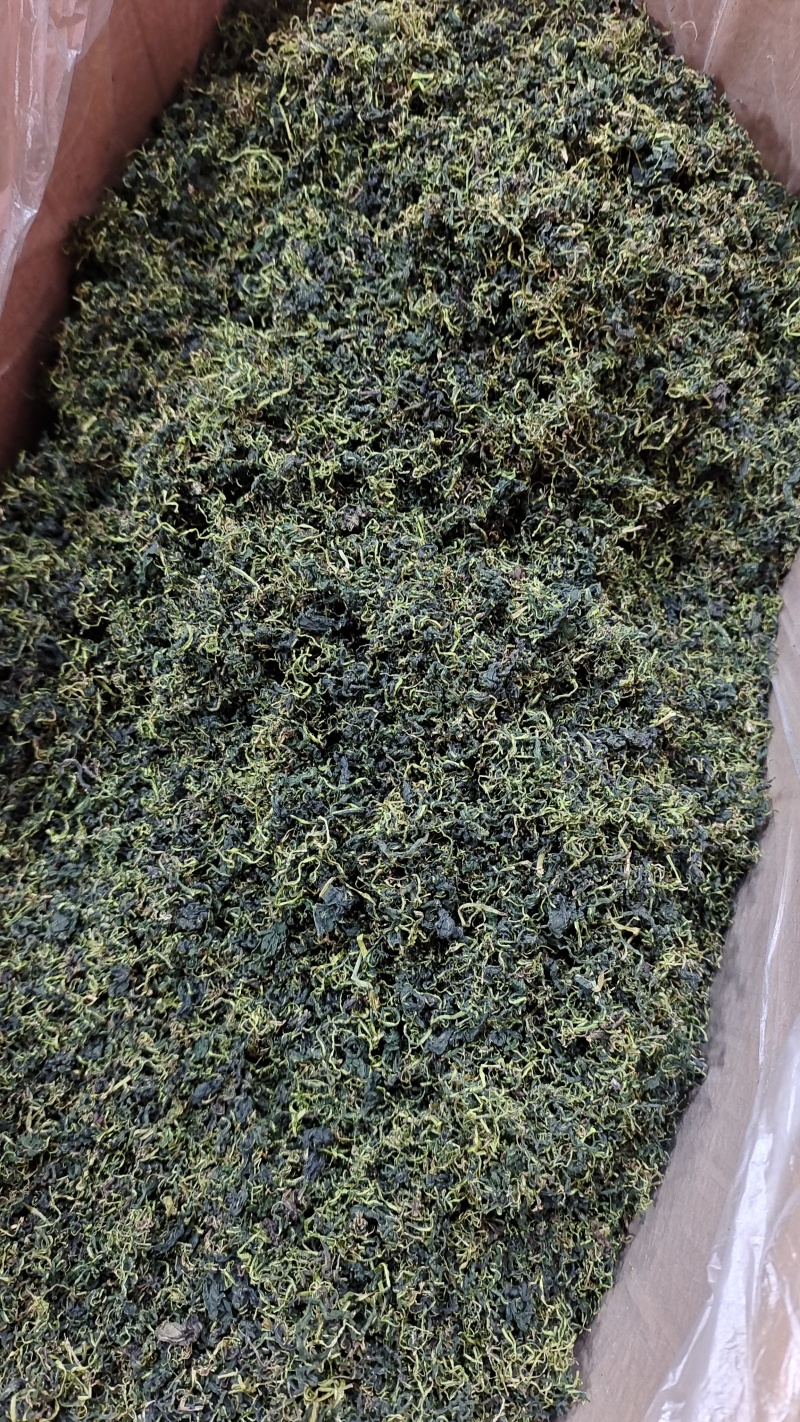 蒲公英叶干货散装泡水喝量大从优