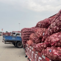 蒜米，印尼，小混级，中混级，大混级专业代办。