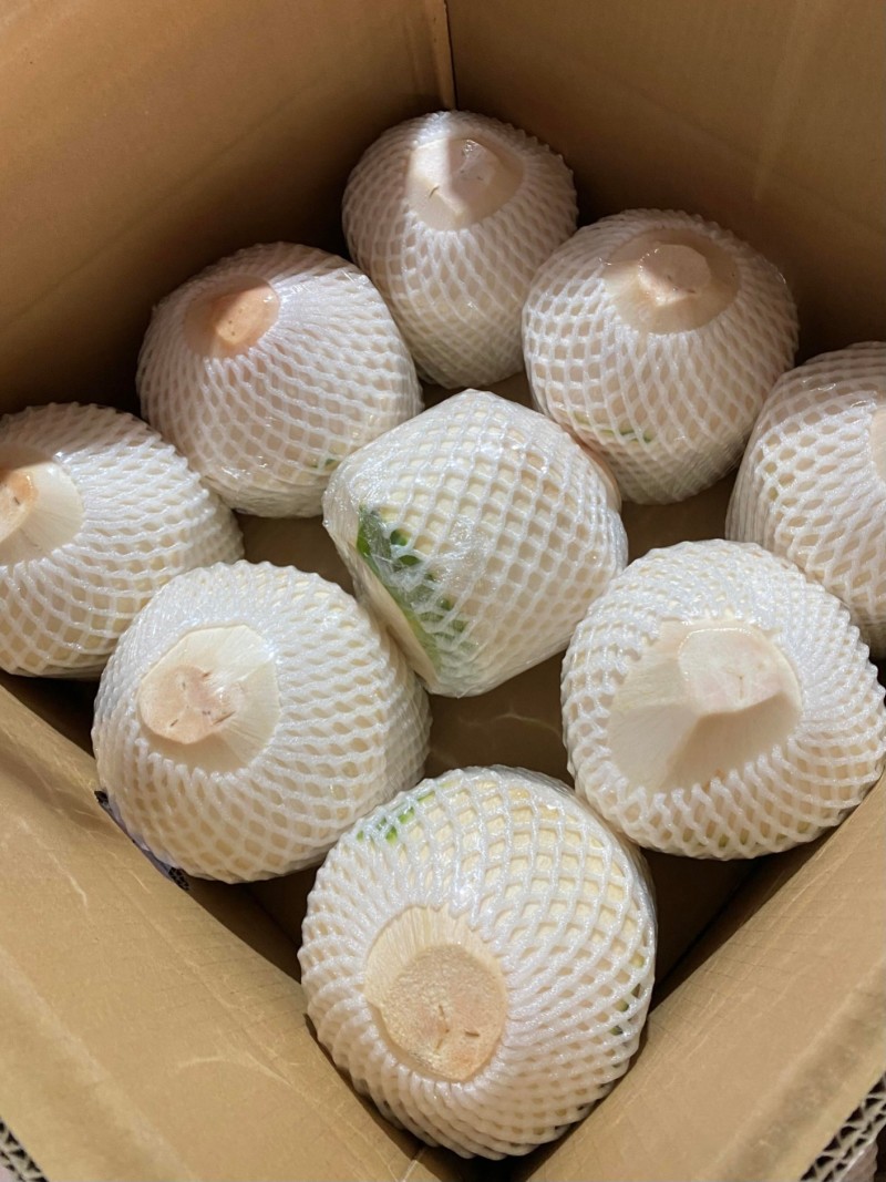 海南椰青，接一件代发、批发！椰子鸡、清补凉！