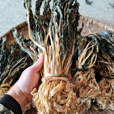 湖南无盐干白菜