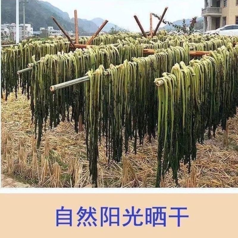 干芥菜无盐梅干菜