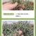 干豆角丝