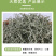 干豆角丝