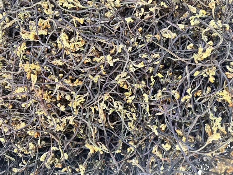 干蕨菜