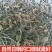干蕨菜