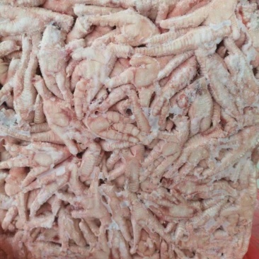 长期供应凤爪，鸡爪，鸡脚