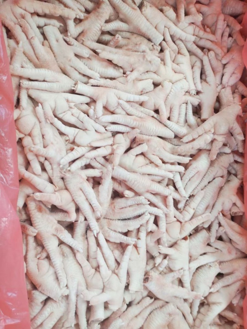 长期供应凤爪，鸡爪，鸡脚
