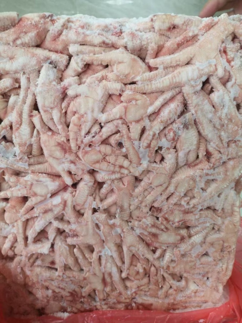 长期供应凤爪，鸡爪，鸡脚