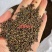 田菁种子别名碱菁涝豆耐涝耐旱盐碱土壤改良牧草果园固氮绿肥
