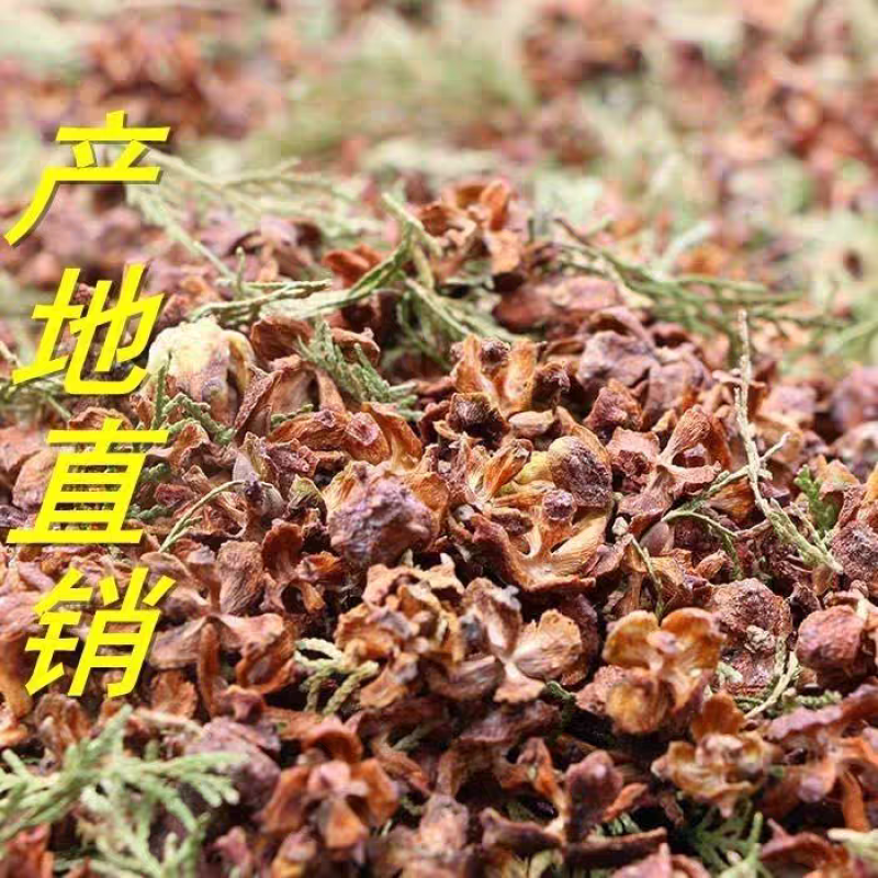 沂蒙山野生侧柏壳柏壳子侧柏壳粉量大优惠