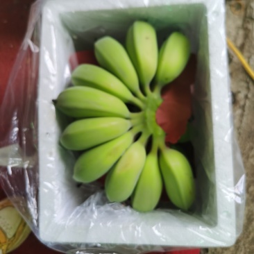 广西苹果蕉。