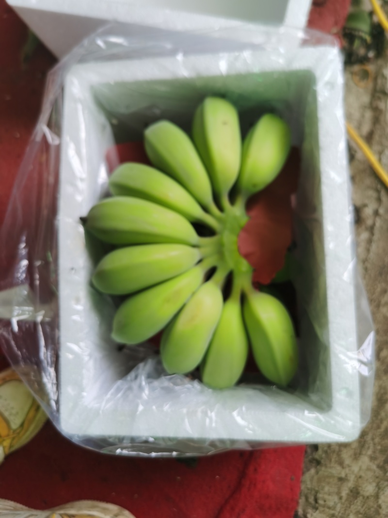 广西苹果蕉。