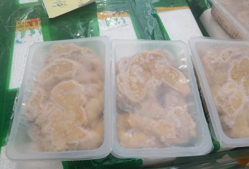 黑鱼籽