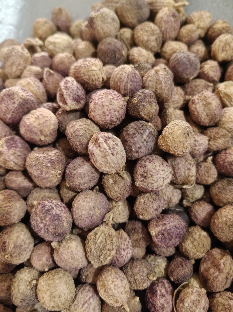 阳春砂仁质量好一手货源量大从优。欢迎新老客户前来购买。