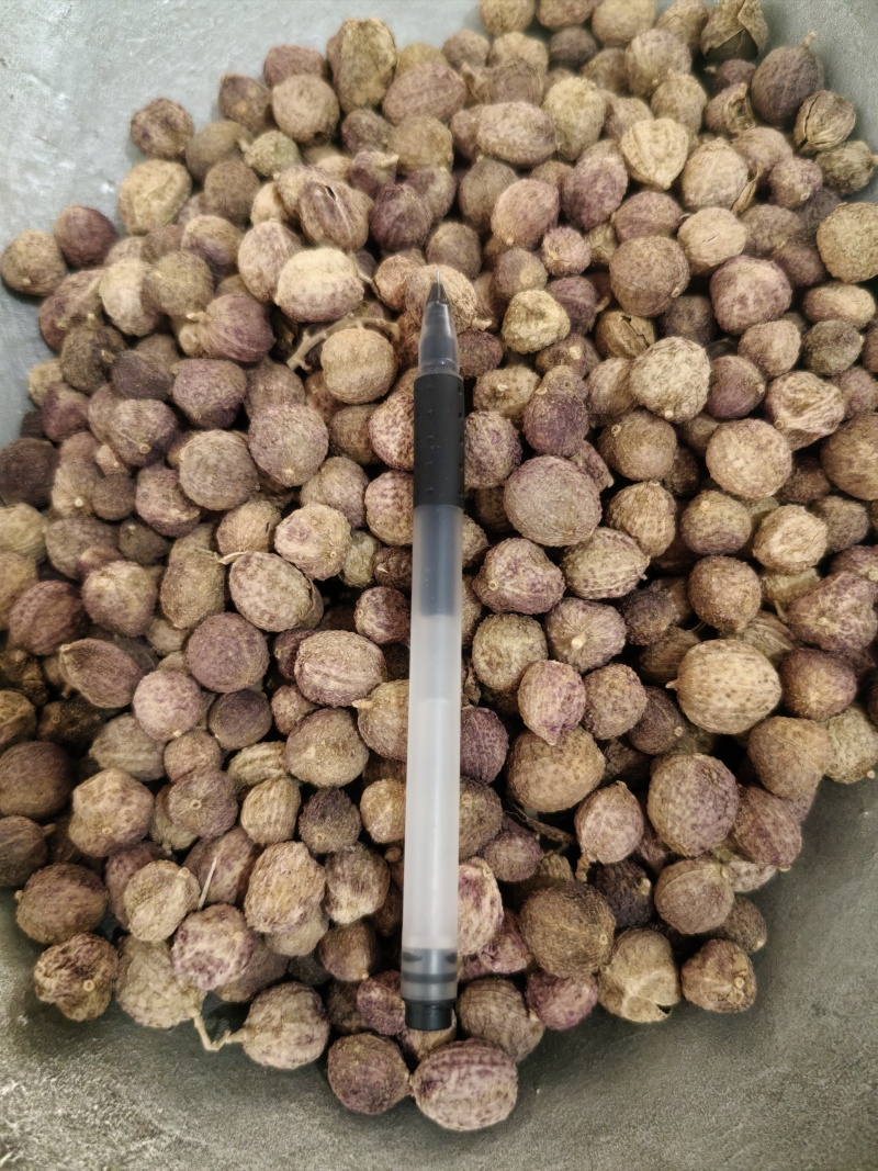 阳春砂仁质量好一手货源量大从优。欢迎新老客户前来购买。