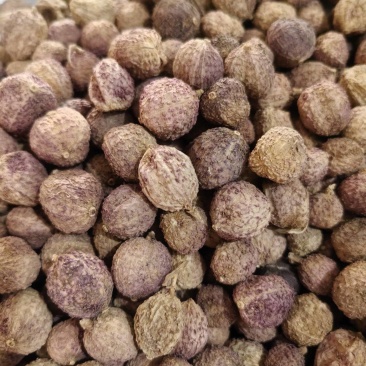 阳春砂仁质量好一手货源量大从优。欢迎新老客户前来购买。