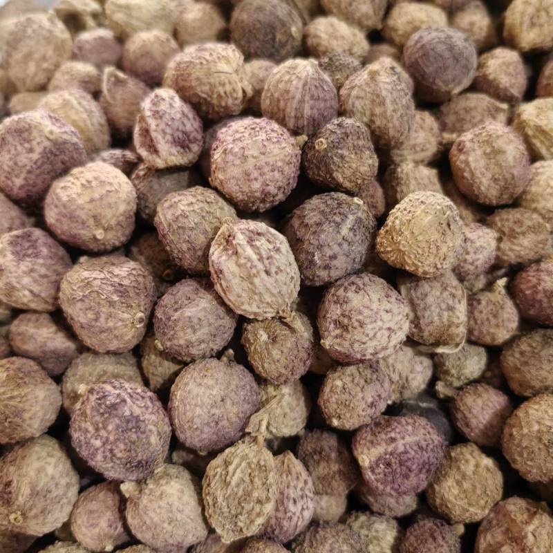 阳春砂仁质量好一手货源量大从优。欢迎新老客户前来购买。
