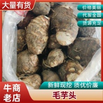 芋头福建芋头产地一手货源，规格齐全，对接电商市场批发商