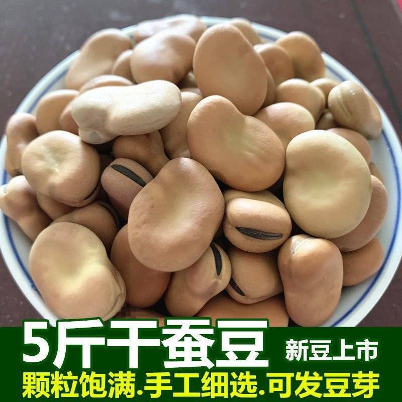 干蚕豆今年新货生蚕豆新蚕豆胡豆农家自产新货新鲜蚕豆