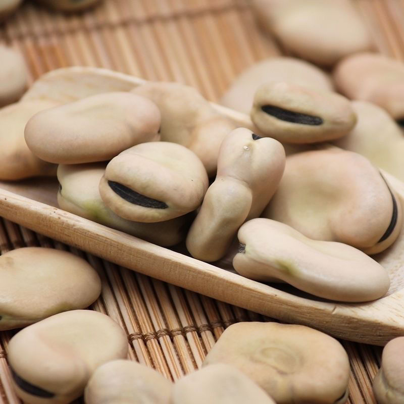 干蚕豆今年新货生蚕豆新蚕豆胡豆农家自产新货新鲜蚕豆