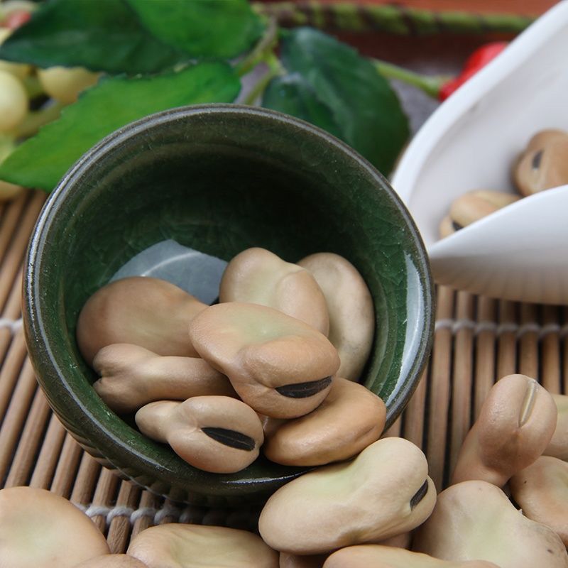 干蚕豆今年新货生蚕豆新蚕豆胡豆农家自产新货新鲜蚕豆