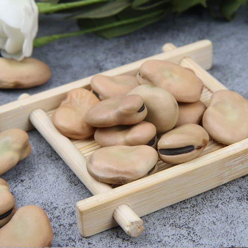干蚕豆今年新货生蚕豆新蚕豆胡豆农家自产新货新鲜蚕豆