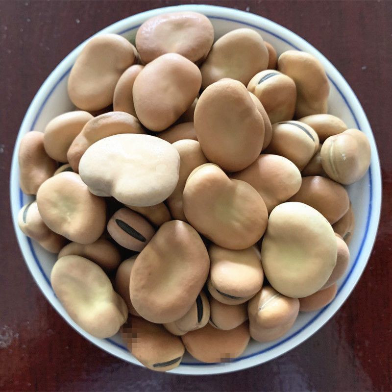 干蚕豆今年新货生蚕豆新蚕豆胡豆农家自产新货新鲜蚕豆