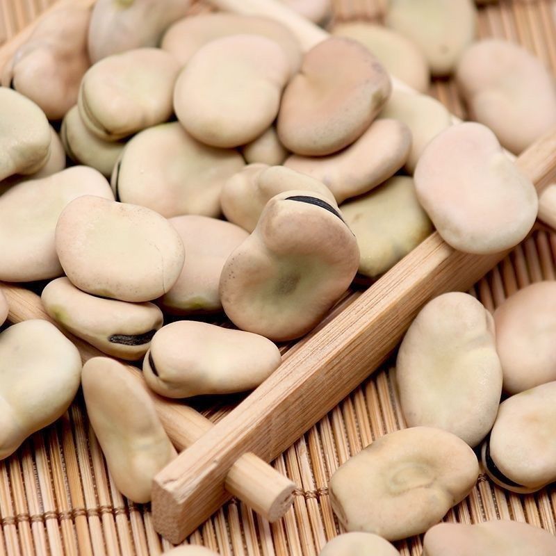 干蚕豆今年新货生蚕豆新蚕豆胡豆农家自产新货新鲜蚕豆