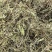 新货车前草个子产地一手货源物美价廉花茶厂专用