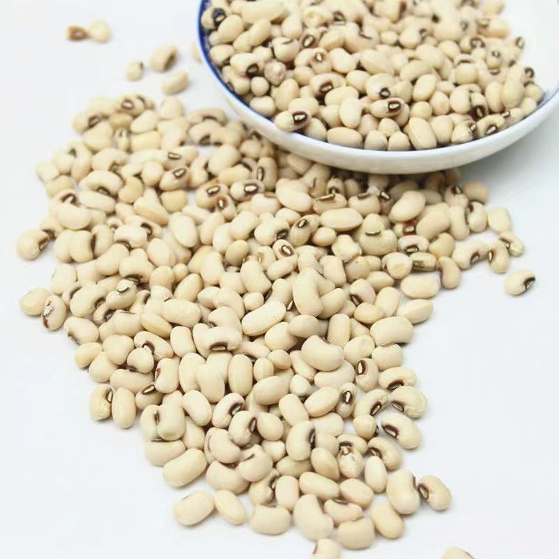 包邮）白眉豆5斤农家精选白豇豆新鲜饭豆白豆米豆
