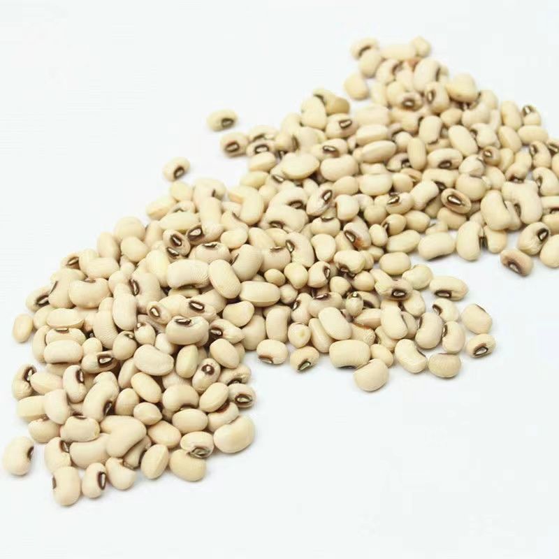 包邮）白眉豆5斤农家精选白豇豆新鲜饭豆白豆米豆