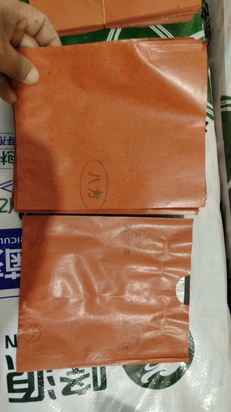 苹果套袋，防水、防虫、防鸟